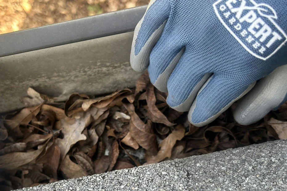 Gutter Cleaning DeQuincy