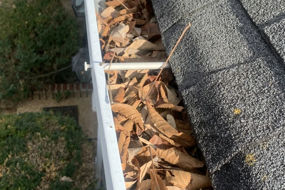 Gutter Cleaning DeQuincy